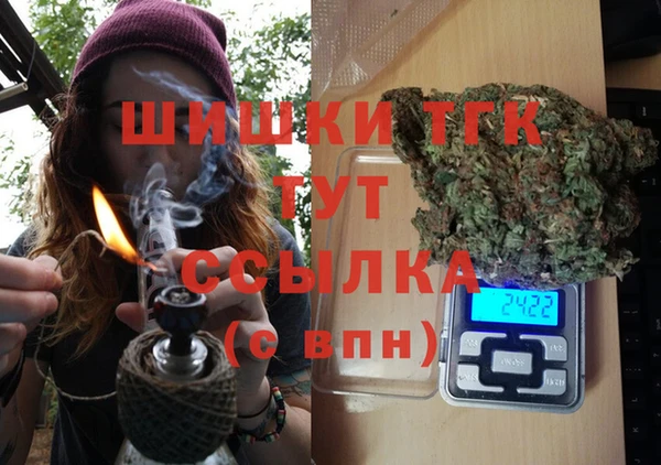 сатива Алзамай