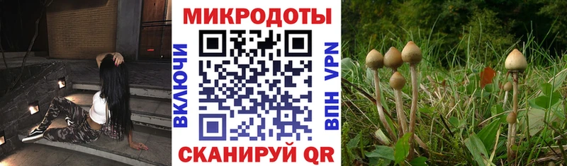 MEGA как зайти  купить наркоту  Соликамск  Галлюциногенные грибы мухоморы 